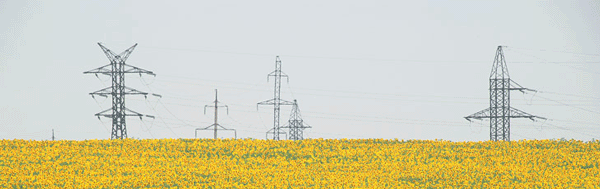 Smart Grid (Умные сети) Smart Grid (Умные сети)
